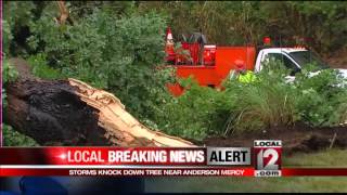 Storm knocks down tree near Anderson Mercy