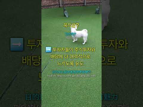 #재테크 #중국어독학 #주식투자