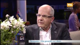 Dierenpaleis Help Betsie Aan Een Nieuwe Baas