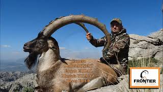 Bezoar Ibex Hunting in Turkey Ep. 4