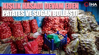 İstanbuldaki Hallerde Patates Ve Soğan Bolluğu