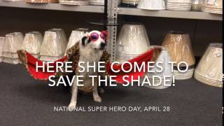 National Super Hero Day 2017