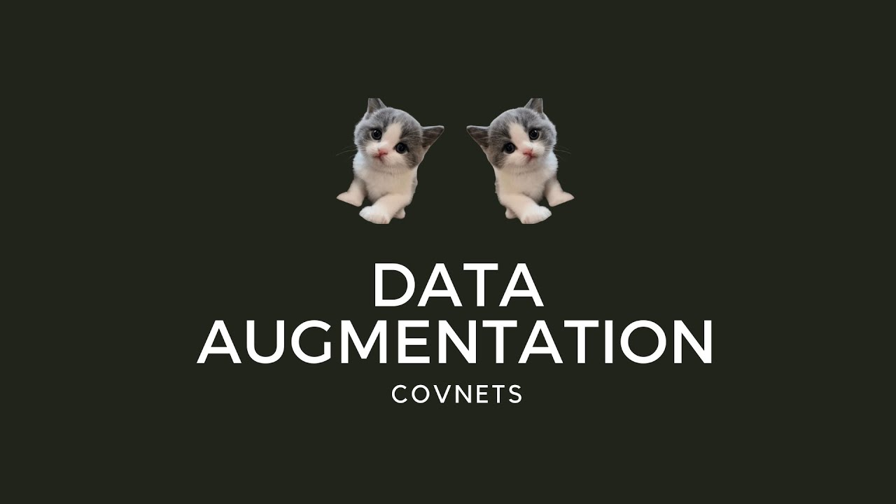 #192 - Data Augmentation - YouTube