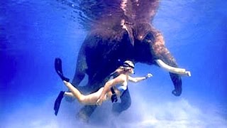 Underwater VLOG Episode 2 - Scuba Diving Indias Andaman Islands | GoPro HERO Underwater HD