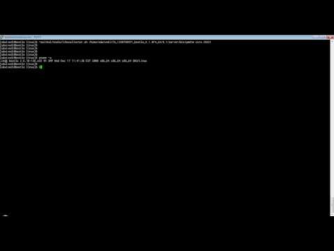 How to use libscollector SCRIPT