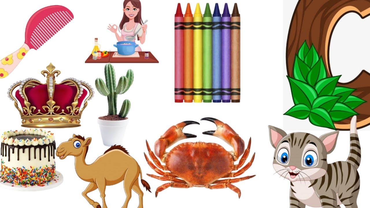 words-that-start-with-letter-c-things-made-from-c-c-for-educational