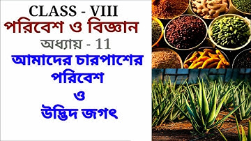 Class 8 Science Chapter 11 | আমাদের চারপাশের পরিবেশ ও উদ্ভিদজগৎ | পরিবেশ ও বিজ্ঞান @TheBongScience