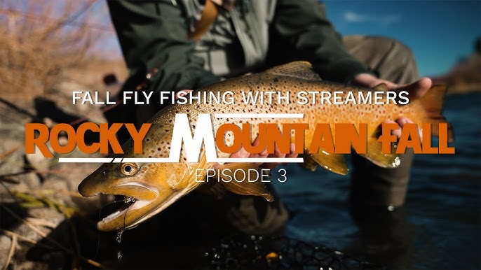 Fly Fishing Lessons Arkansas