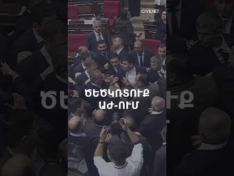 Ծեծկռտուք՝ ԱԺ ում, պատգամավորները հարվածել են միմյանց ոտքերով և բռունցքներով