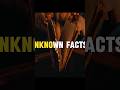 Unique place in the world #viralshort #viralshorts #viral   #shortfeed #facts