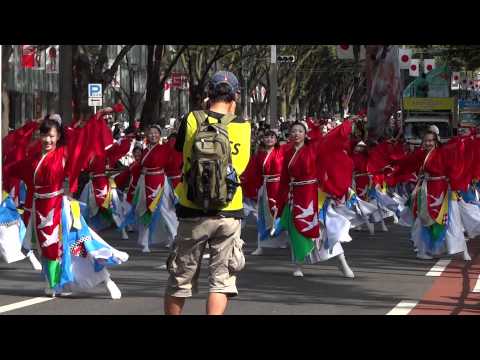 疾風乱舞さん／表参道アベニュー／原宿スーパーよさこい2011