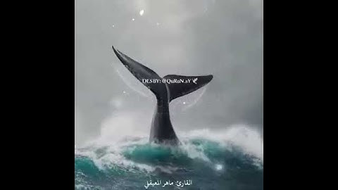 سورة تريح البال - صوت ماهر المعيقلي.