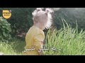 ○● بنتي يلي عمري حليتي ○●