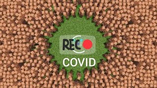 Minecraft Covid -19 Ware Star