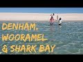 Shark Bay, Denham & Francois Peron: S03 Western Australia E10 Road Trip Lap of Australia