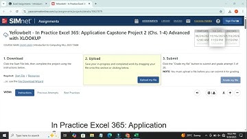 In Practice Excel 365: Application Capstone Project (Chs.1-4 ) Advanced with XLOOKUP Excel 365\2024