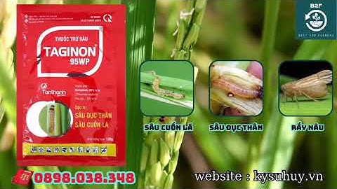 TAGINON 95WP – LOẠI BỎ SÂU RẦY GÂY HẠI CHO CÂY TRỒNG hotline: 0345.37.88.39