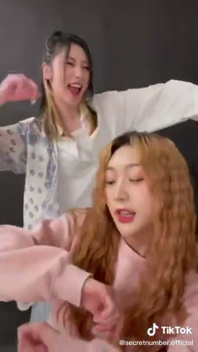 Secret Number TikTok Update with #MINJI & #JINNY