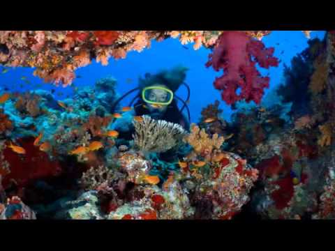 Tupelo, MS – Dr. John Kenney – “Your Dental Health” -- Scuba diving