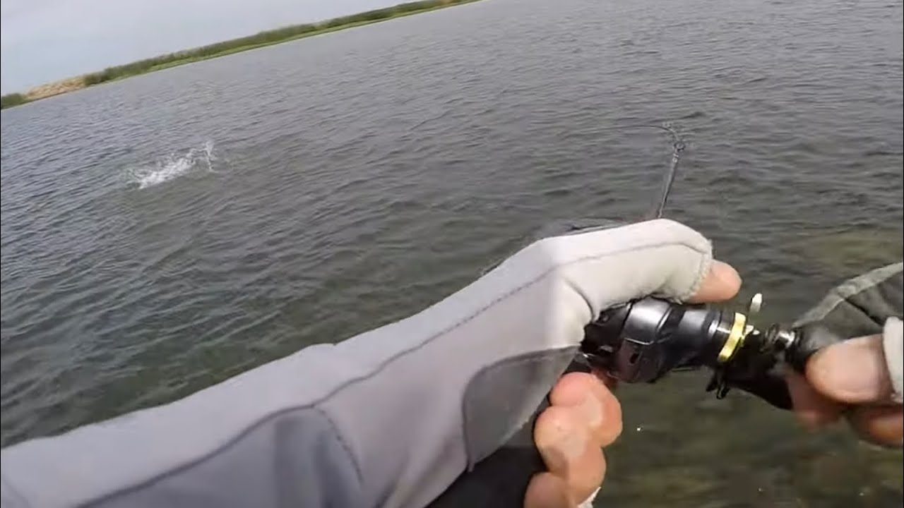 Cranking for California Delta Bass and  Striper