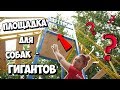 ОБЗОР НОВЫХ ПЛОЩАДОК ДЛЯ СОБАК | НАШЛИ НЕПОНЯТНЫЕ СНАРЯДЫ ДЛЯ ПСОВ - ГИГАНТОВ