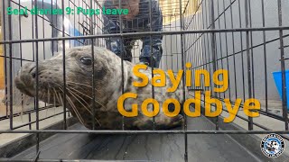 Saying goodbye by British Divers Marine Life Rescue 224 views 1 month ago 7 minutes, 54 seconds