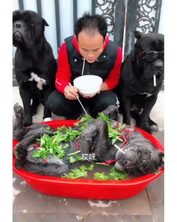 Sayur Kol (@IG@Zonk_Korea)