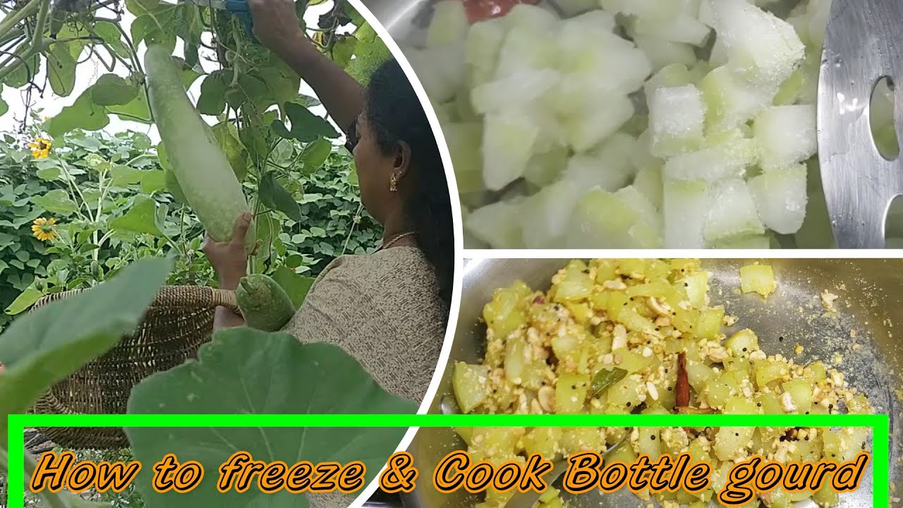How to freeze and cook bottle gourd vegetables Stir fry recipe