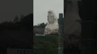 湘南モノレール大船駅と周りの風景‼️