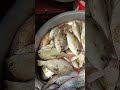 17/6/26இன்று மீனம்மாவிடம் என்ன மீன் இருக்கான்னு பார்ப்போம் friends#food#seafish#shorts#trending#new