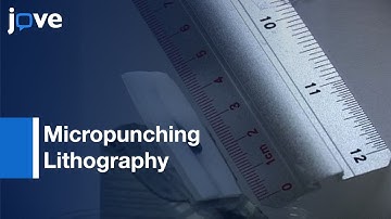 Generating Micro- & Submicron-Patterns On Polymer Substrates l Protocol Preview