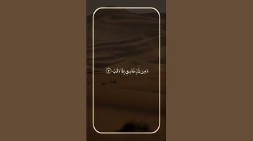سورة الفلق | أذكار الصباح | ماهر المعيقلي.