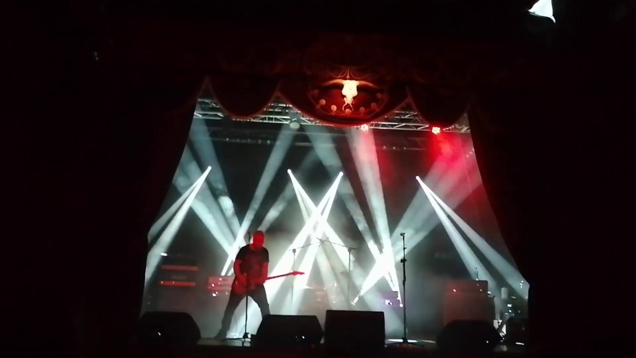 Captain Ape - This Is Sand In The Mustache... LIVE! (Drizzly Grizzly 05.03.2020)