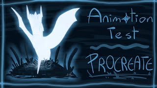 Procreate Animation Test - FLASH WARNING
