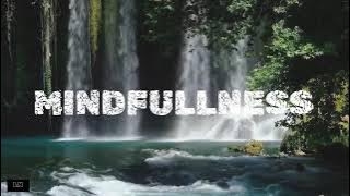 Instrumen untuk Meditasi, Teknik STOP Mindfulness,