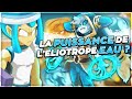 ELIOTROPE EAU SOUS-CÔTÉ ?! [TARKAN DOFUS]