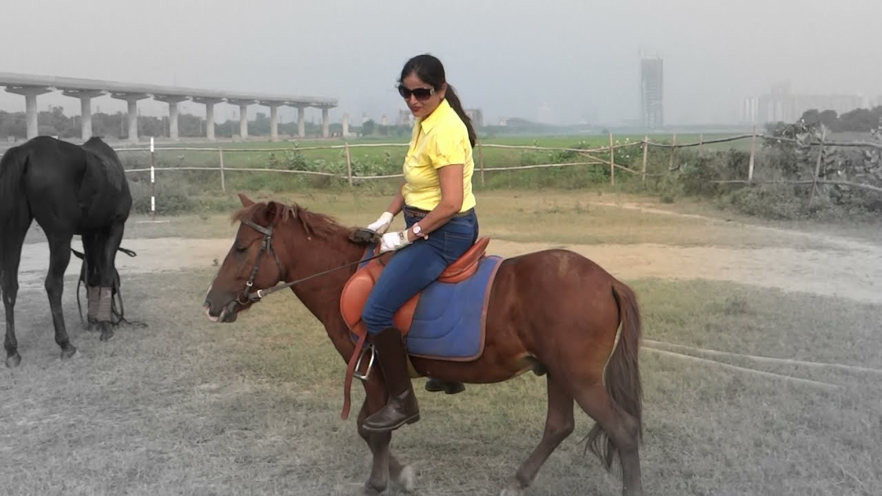 Anjali's Pony Ride 🐴