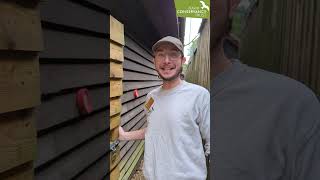 Who Has The Best Impression Of A Hooded Vulture?