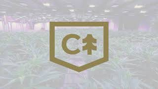Chemistree Brand Pitch Video Edit
