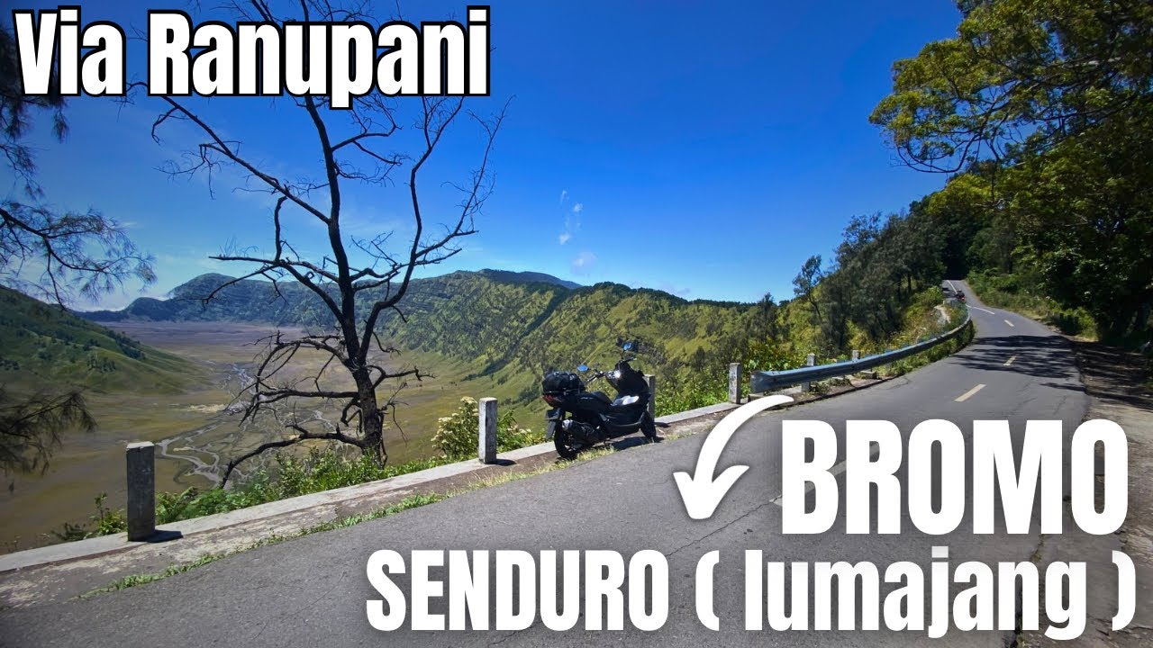 Terkagum kagum sama keindahan alamnya di jalur bromo arah lumajang via ranupani