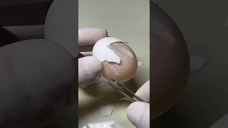 Let's go to America | 알"...