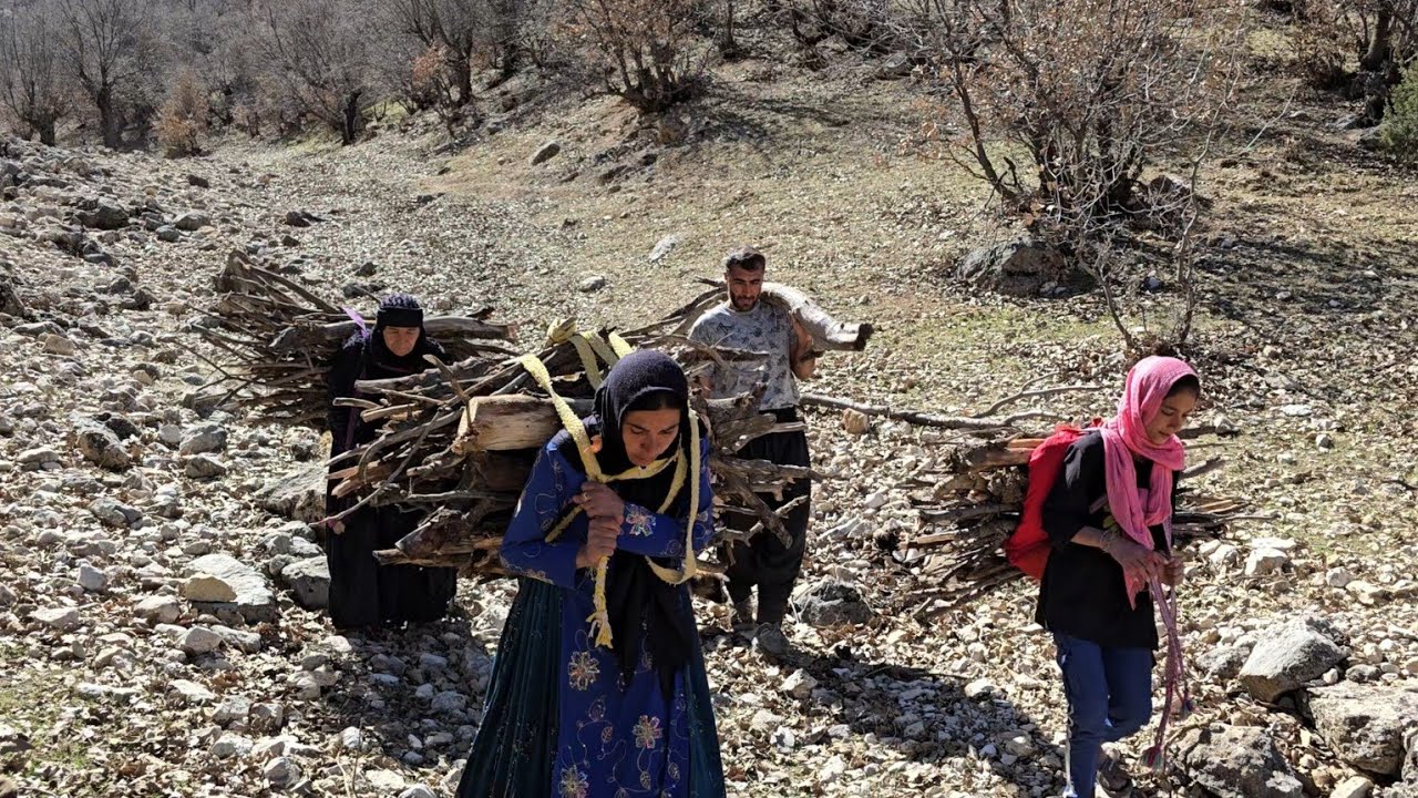 Hard Nomadic Life: Searching for Firewood in the Mountain Displaced ...