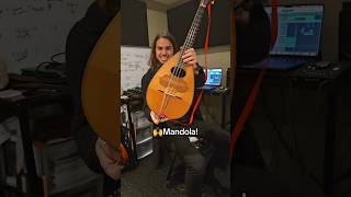 I Love The Sound Of The Mandola Let Me Know If You Can Hear It In Same Song