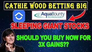 Cathie Wood Favorite 2 Sleeping Giant Stocks To Buy Now