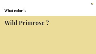 Wild Primrose color #ebdd99 hex color - Yellow color - Cool color ebdd99