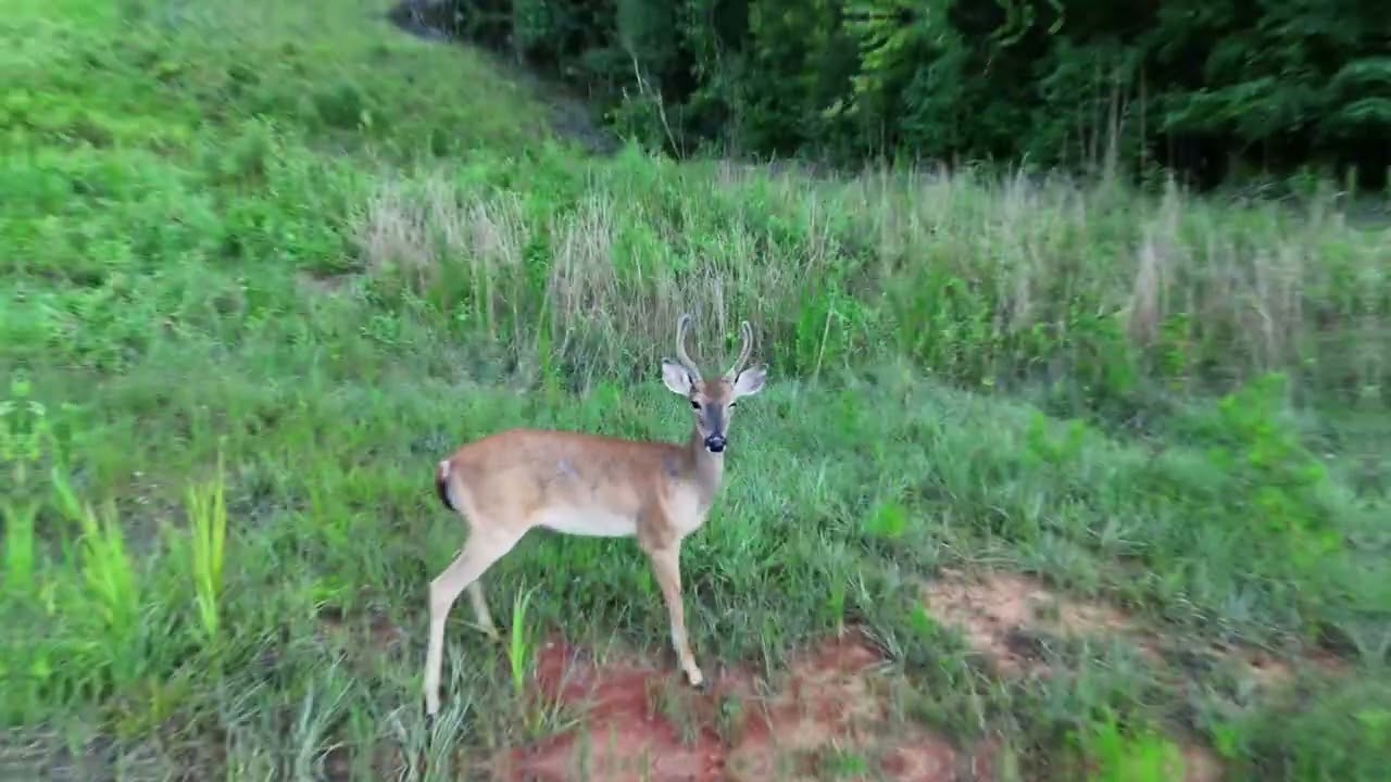 Prime 6.8-Acre Parcel in Gwinnett County, GA for SALE!