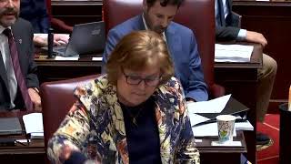 Senate Floor Session, 4/7/2023 #1