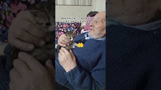 Siz Hayvanları Severseniz Allah Ta sizi Sever #keşfet #dua #cat #kedi #viral #izle #shortsfeed