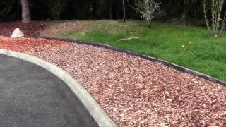 What are the proper uses for Cedar Mulches? Peninsula Landscape Supplies