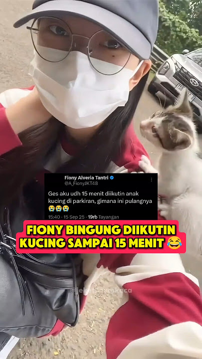 Download lagu TANDANYA SI KUCING MINTA DIADOPSI ITU CEP😂 #jkt48 #jkt48newera #fionyjkt48